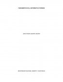 FUNDAMENTOS DE LA INFORMATICA FORENSE