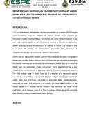 Importancia de cultivar los valores institucionales