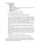 Análisis de caso: JORGE