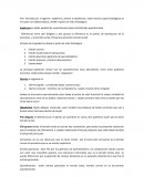 Histología Anexos Cutáneos