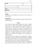 El caso trata sobre un grupo corporativo llamado Grupo Togre