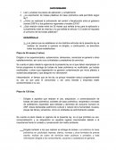 Interpretación de la ley del plástico