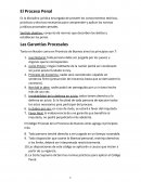 Resumen explicativo Proceso Penal Argentino