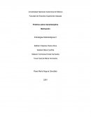 Práctica sobre transdisciplina Motivación Estrategias Metodológicas II