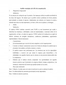 Análisis estratégico del AIE de la organización