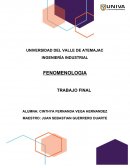 TEORIA DEL LIDERAZGO