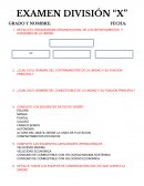 PREGUNTAS. EL ORGANIGRAMA ORGANIZACIONAL DE LOS DEPARTAMENTOS Y DIVISIONES DE LA UNIDAD