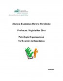 Psicología Organizacional . Verificación de Resultados