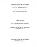 ANÁLISIS DE LOS ACTORES Y REALIDAD SOCIAL DEL PROYECTO SOCIAL DE FORMACIÓN
