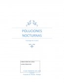 Poluciones nocturnas