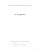 PRODUCTOS Y LINEAS DE PRODUCTOS DERIVADOS DEL CACAO