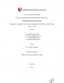 Propuesta de Programa de Prevención de contaminación del Riachuelo en Pariachi Etapa III Ate - 2019