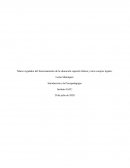 Marco regulador del funcionamiento de la educación especial chilena y otros cuerpos legales