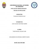 MECANISMOS DE DEFENSA EJEMPIFICADOS