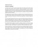 Analisis Cualitativo Adidas