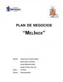 Emprendimiento “MELINOX”