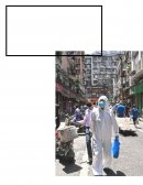 Empleo en tiempos del Covid