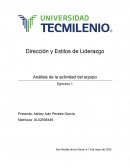 Dirección y Estilos de Liderazgo Análisis de la actividad del equipo