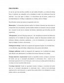 COMENTARIO CLASES. ERGONOMÍA
