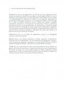 Cuál es la descripción de la empresa (Tipo)