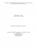 ANÁLISIS Y COMPRENSIÓN SOBRE LAS DECISIONES DE UN NIÑO EN SU ETAPA QUINQUENAL DE MANERA ESPONTÁNEA