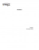 Portafolio I Auditoria