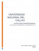 AUDITORIA EMPRESARIAL Vía Directa S.A.C