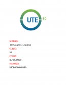 MICROECONOMIA ESCASEZ