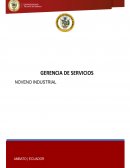 Estudio de las estrategias aplicadas por DELL mediante la indagación del “Caso Matching DELL”