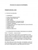 Proceso de Atención de Enfermería. Caso