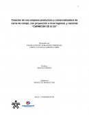 Creación de empresa de carne de conejo