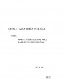 MARCO PARA LA PRÁCTICA PROFESIONAL