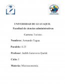 Ensayo Microeconomía Intermedia