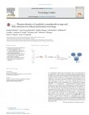 Los cannabinoides sintéticos (SC)