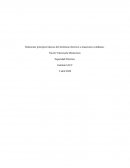 Relacionar principios básicos del fenómeno eléctrico a situaciones cotidianas
