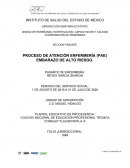 PAE EMBARAZO ALTO RIESGO