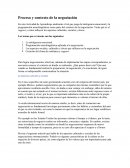 Proceso y contexto de la negociación