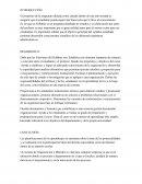 Introduccion sistemas organizacionales