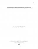 DIAGNOSTICOS DE RIESGOS ERGONÓMICOS Y PSICOSOCIALES