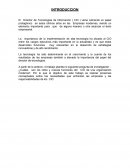 Ensayo de Funciones de un Director CIO