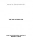 RESEÑA CULTURA Y COMUNICACIÓN ORGANIZACIONAL