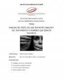 ANÁLISIS DEL PERFIL DEL MALTRATADOR FAMILIAR Y DEL TRATAMIENTO A HOMBRES QUE EJERCEN VIOLENCIA