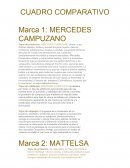 CUADRO COMPARATIVO. MERCEDES CAMPUZANO