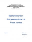 Mantenimiento y desmalezamiento de Áreas Verdes