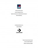 CASO CONVERSE