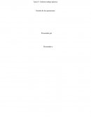 Informe trabajo práctico Gestión de las operaciones