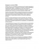 Estrategia de crecimiento FEMSA