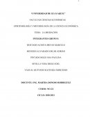 Enfoques de la migración