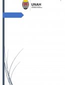 LA ADMINISTRACION. Características De Las Empresas