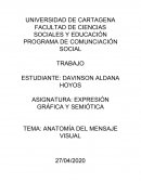 Anatomía del Mensaje Visual